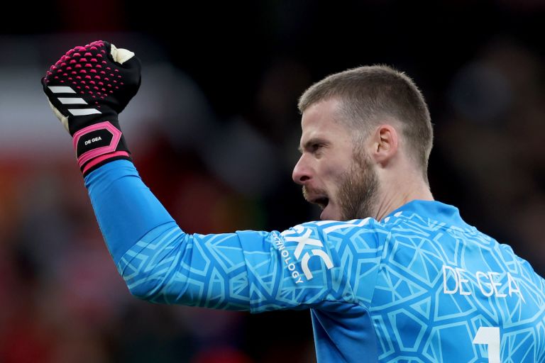 De gea gloves 2019 online