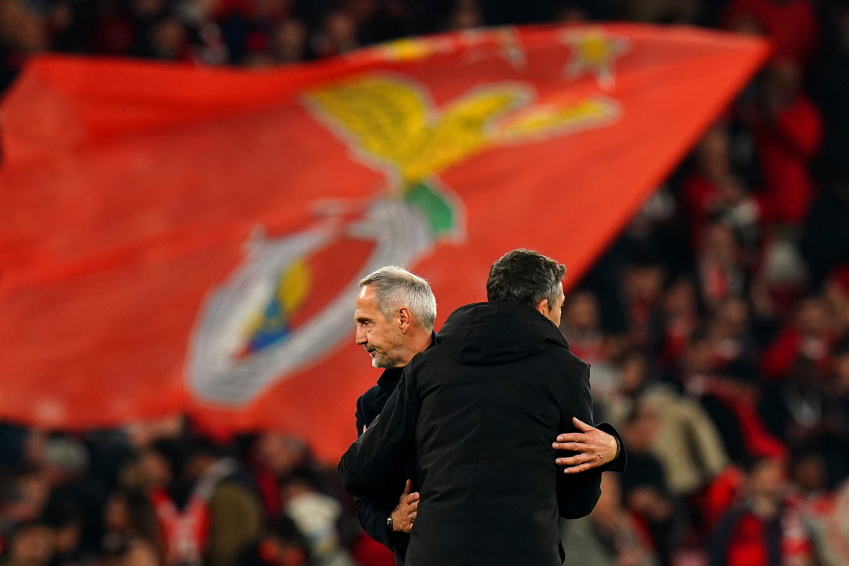 A view of the Benfica flag.