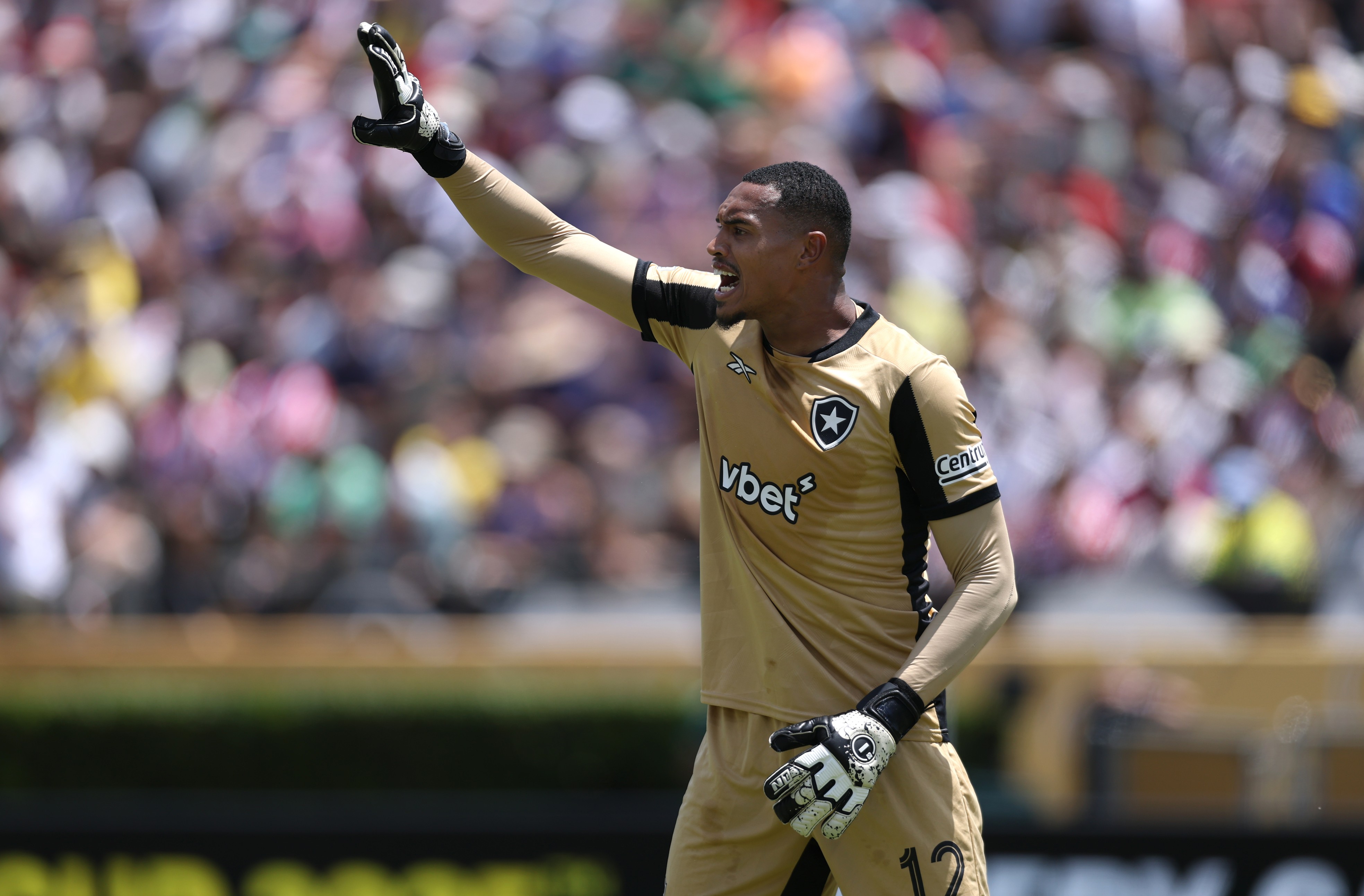 Botafogo goalkeeper John in action