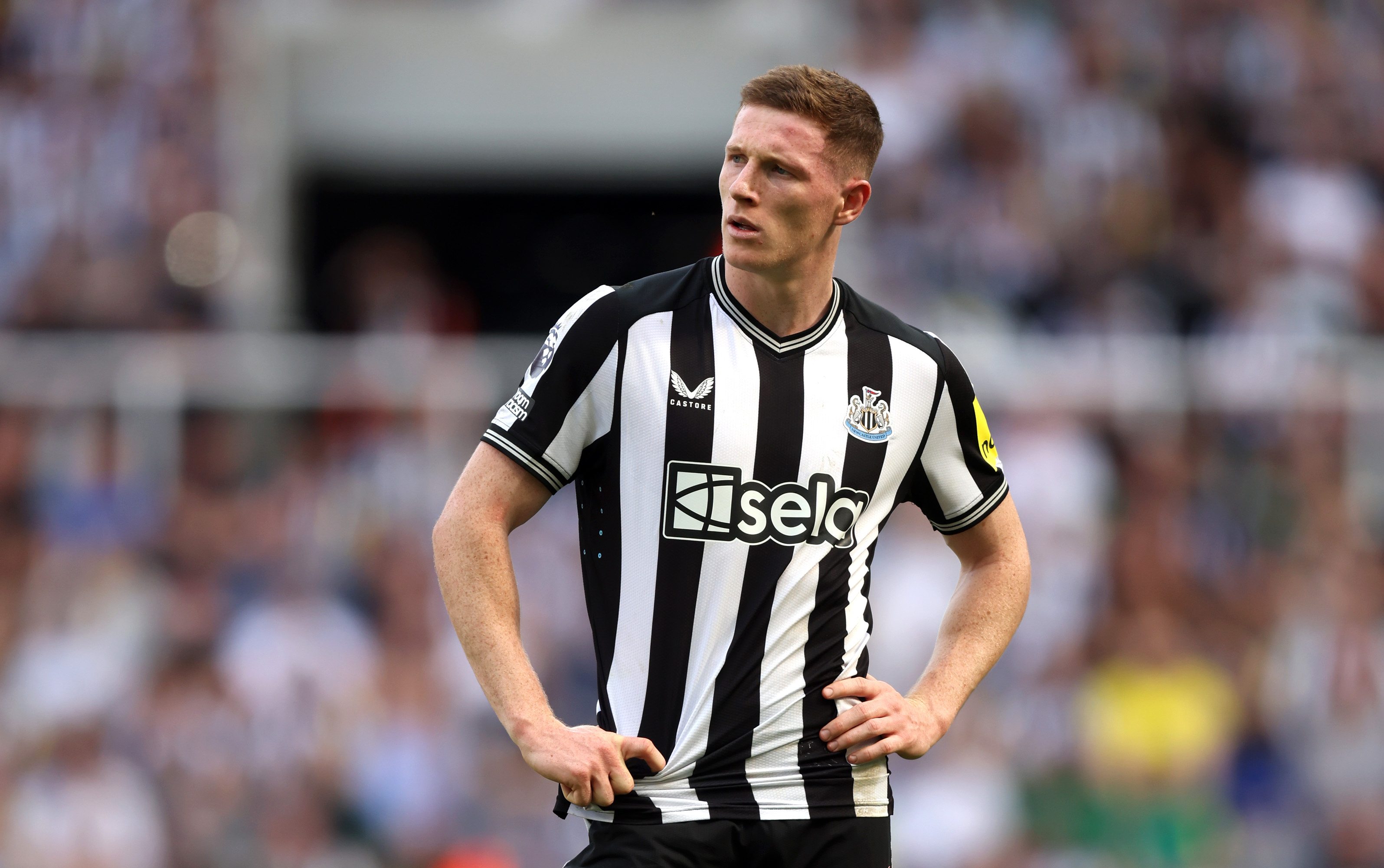 Elliot Anderson looks on while in action for Newcastle United.
